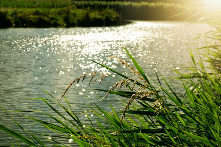 Cleaning Europe's rivers