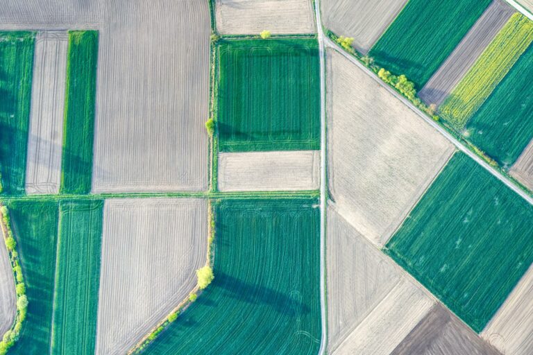 Dom Couldwell, Head of Field Engineering EMEA, DataStax: Improving water efficiency for farmers with IoT and generative AI